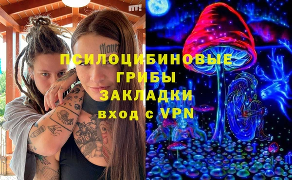 ешки Новозыбков