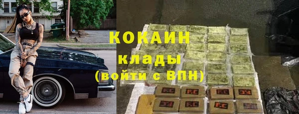 ешки Новозыбков