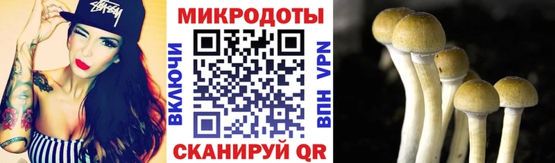 кракен ТОР Канск Псилоцибиновые грибы прущие грибы