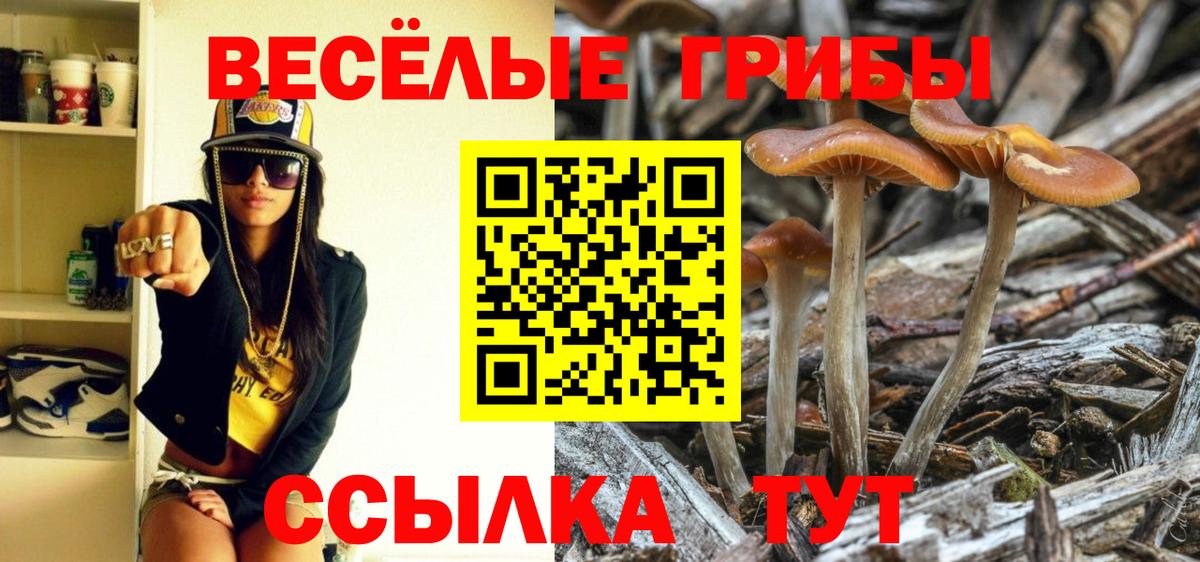 закладки  Вход с VPN  Канск  Псилоцибиновые грибы мицелий 