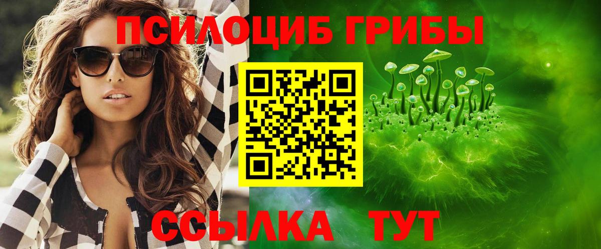 Псилоцибиновые грибы Cubensis Канск